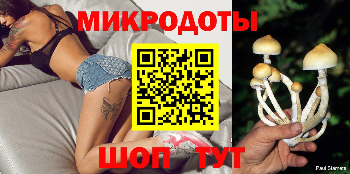 Псилоцибиновые грибы Cubensis Тулун
