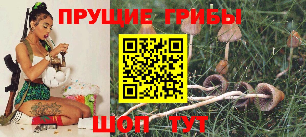 где найти   Вход с VPN  Тулун  Псилоцибиновые грибы мухоморы  Галлюциногенные грибы MAGIC MUSHROOMS 