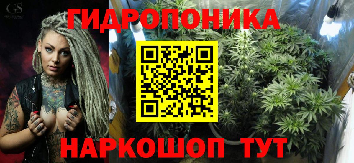 Тулун  Бошки марихуана планчик  Вход с VPN  Бошки Шишки гибрид 